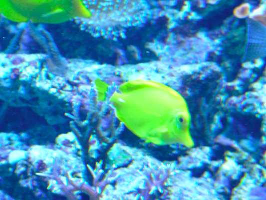 P1050715