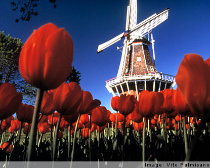 holland.jpg