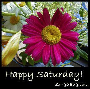 happy_saturday_flowers.JPG.jpg